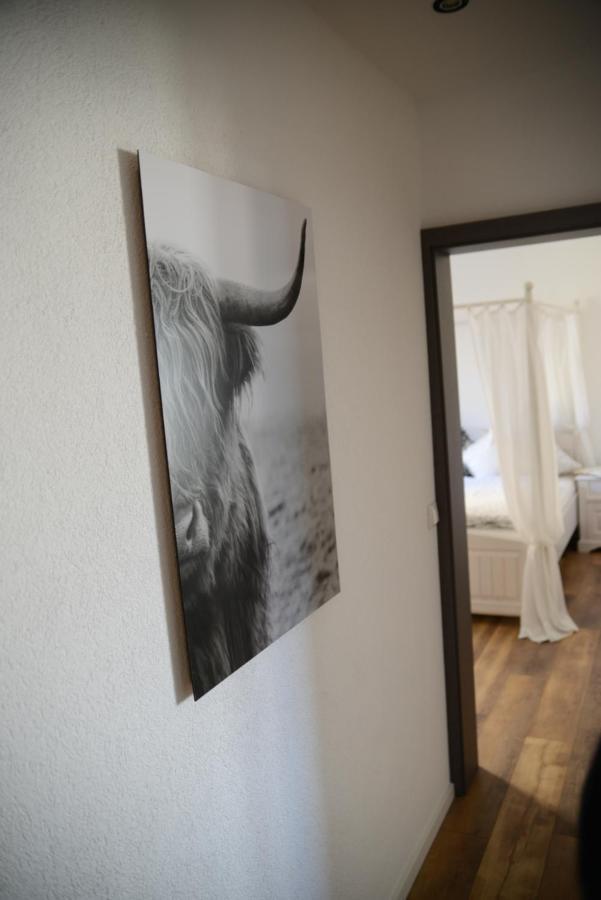 Ferienwohnung Die Alte Schule Daun Esterno foto